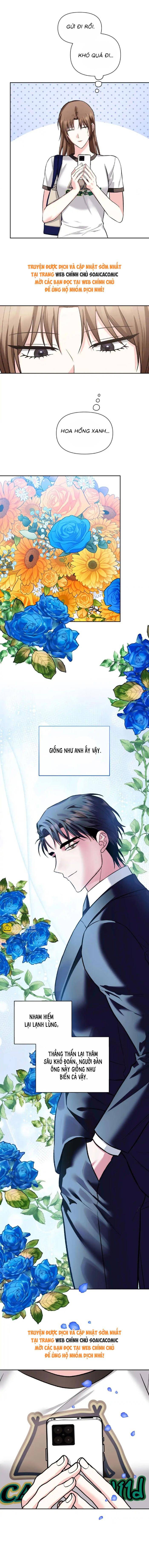 Cua Lại Vợ YêuMón quà ý nghĩa nhất cho người thân yêu Chapter 41
