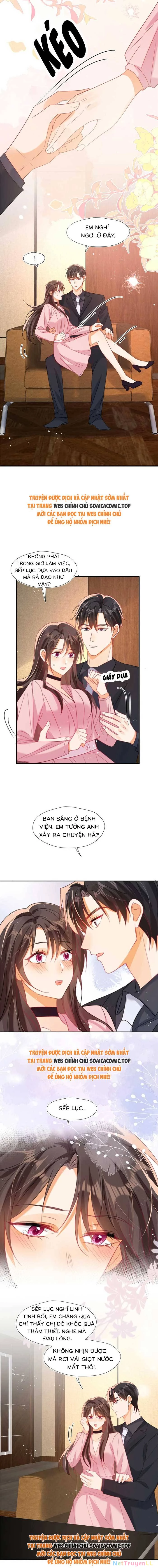 Cùng Lục Gia Yêu Đương Vụng Trộm Chapter 88