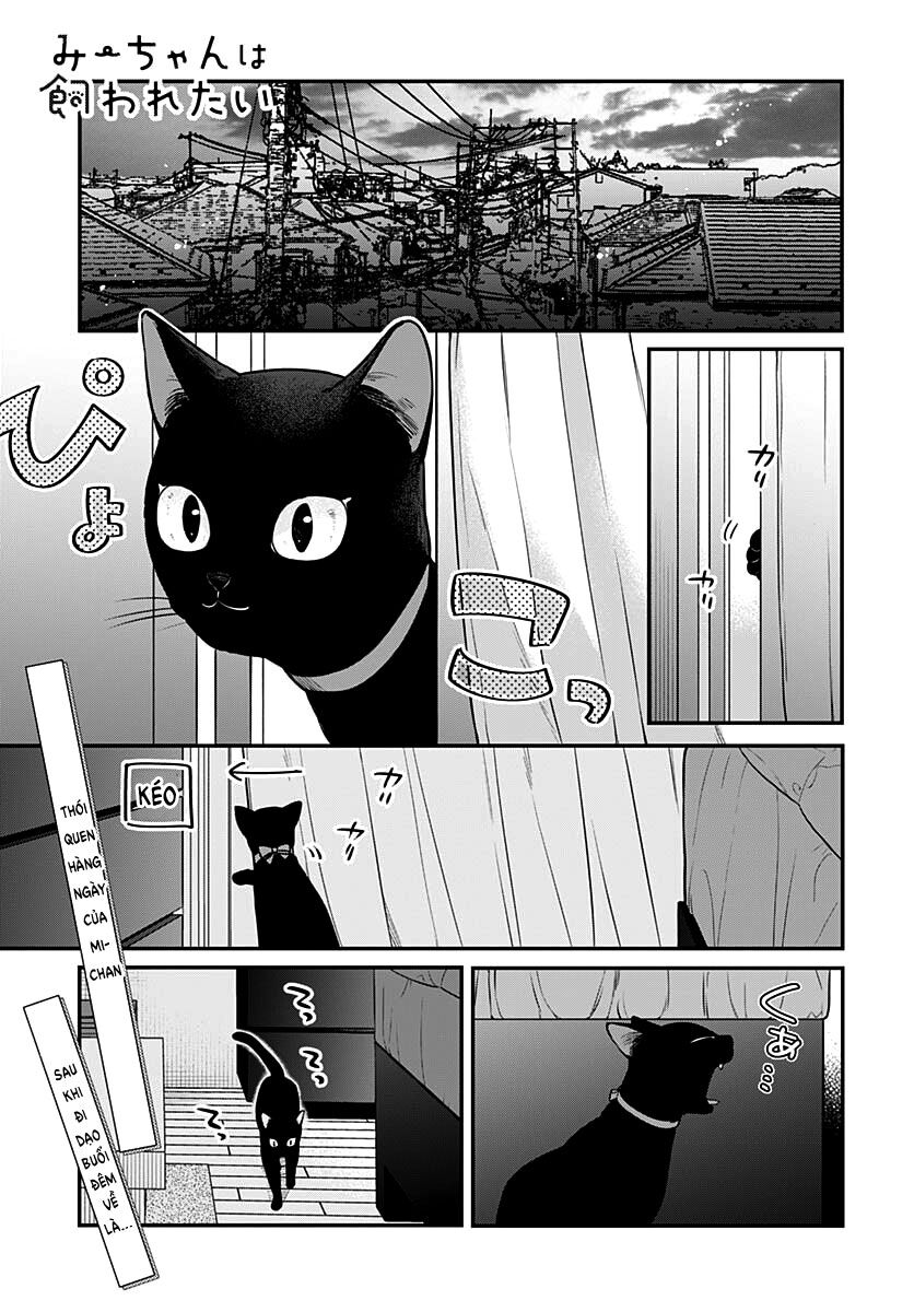 Mii-Chan Muốn Được Nhận Nuôi! Chapter 4