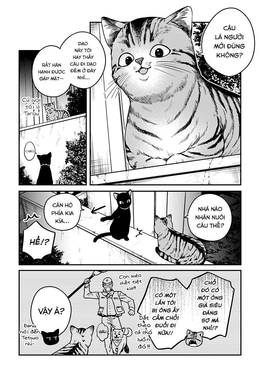 Mii-Chan Muốn Được Nhận Nuôi! Chapter 5